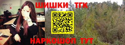 тгк Славгород
