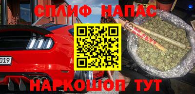тгк Славгород