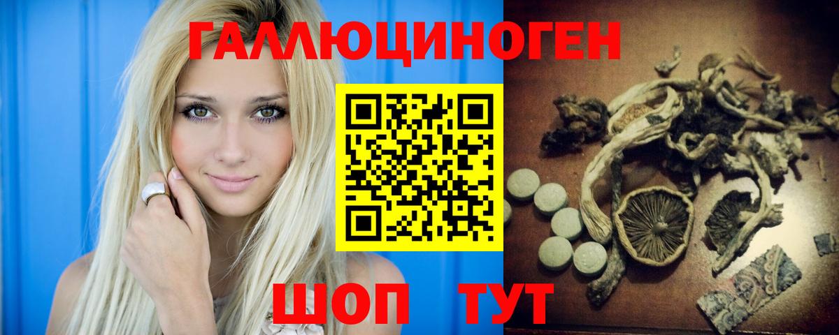 Оренбург  Псилоцибиновые грибы Psilocybe  купить наркотики цена  Вход с VPN 